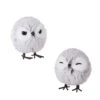 Raz 4" Set Of 2 Owl Christmas Ornament 4203486 -The Jelly Christmas Shop 4203486 77868.1691589505