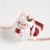 Raz 5.25" Santa Drinking Cocoa Glass Christmas Ornament 4352851 -The Jelly Christmas Shop 4352851 00636.1685047355
