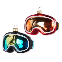 Raz 4" Set Of 2 Ski Goggles Glass Christmas Ornaments 4352853 -The Jelly Christmas Shop 4352853 1 77222.1685452499
