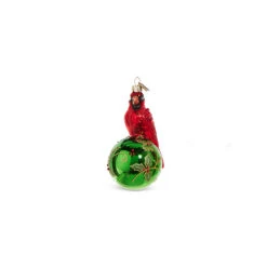 Raz Eric Cortina 5" Elegant Cardinal Glass Christmas Ornament 4353115 -The Jelly Christmas Shop 4353115a 58595.1689692996