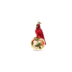 Raz Eric Cortina 5" Elegant Cardinal Glass Christmas Ornament 4353115 -The Jelly Christmas Shop 4353115b 39734.1689693000