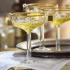Raz Eric Cortina 4.5" Elegant Coupe Champagne Glass Christmas Ornament 4353121 -The Jelly Christmas Shop 4353121 edit 31515.1685556268