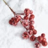 Raz 27" Red Iced Ball Christmas Tree Spray F4206873 -The Jelly Christmas Shop F4206873 90056.1650566030