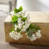 Raz 22.75" Snowy White Berry Bush Christmas Tree Pick F4212932 -The Jelly Christmas Shop F4212932 14671.1685984986