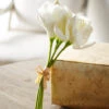 Raz 12" Real Touch White Amaryllis Bundle F4302310 -The Jelly Christmas Shop F4302310 94163.1685993888