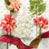 Raz 32" White Glittered Berry Cluster Christmas Tree Spray F4302392 -The Jelly Christmas Shop F4302392 56883.1691093259
