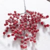 Raz 27.5" Snowy Red Berry Christmas Tree Spray F4306669 -The Jelly Christmas Shop F4306669 77732.1686061782