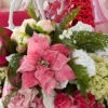 Raz 21" Hot Pink Velvet Poinsettia Christmas Tree Pick F4306716 -The Jelly Christmas Shop F4306716 92665.1686071788