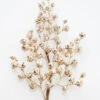 Raz 28" Champagne Iced Berry Christmas Tree Spray F4306738 -The Jelly Christmas Shop F4306738 53912.1686074590
