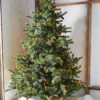 Raz 7.5' Forever Lit Green Big Sky Spruce Christmas Tree T4352009 -The Jelly Christmas Shop T4352009 37639.1686668708