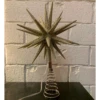 10" Electric Starburst Christmas Tree Topper 2546590 -The Jelly Christmas Shop api3sus6i 57672.1646091865