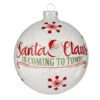 Raz 5" Santa Claus Ball Glass Christmas Ornament 4124530