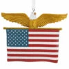 Hallmark American Flag Christmas Ornament 1HGO2786 -The Jelly Christmas Shop apinbzbtd 88342.1646091860