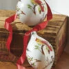 Raz 4.75" Winter Bird Glass Christmas Ornament 4024608 -The Jelly Christmas Shop apituacbx 88293.1646091959