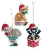 Kurt Adler 3.25" "If I Fits, I Sits" Cat Christmas Ornaments E0599 -The Jelly Christmas Shop e0599 00422.1677698894